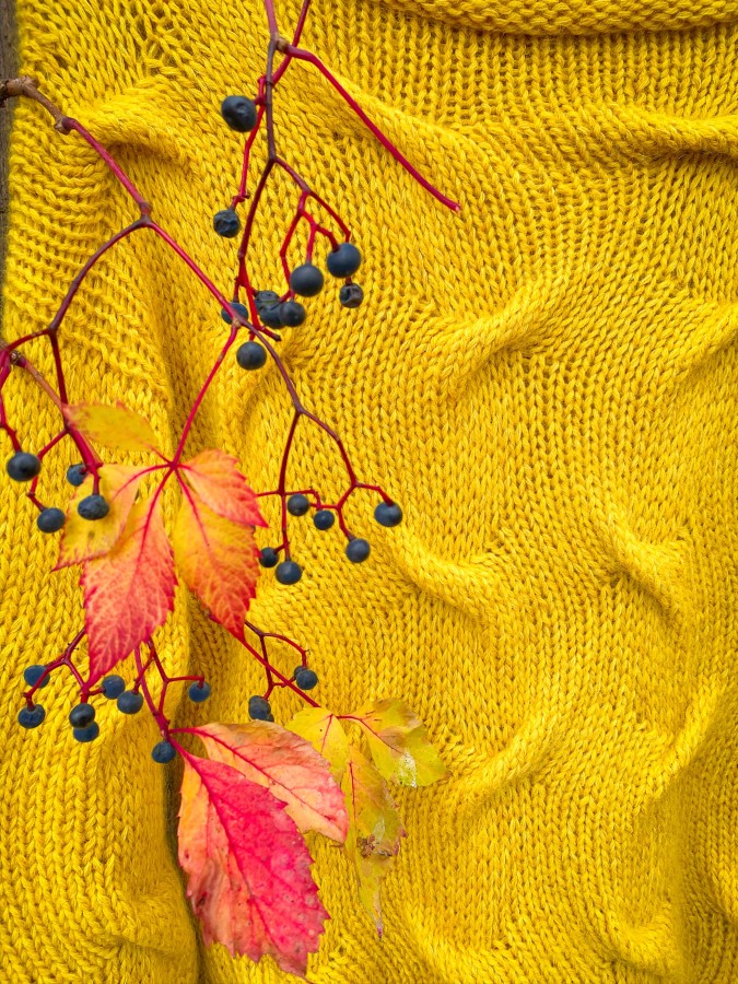 Honey Waves - Sweater